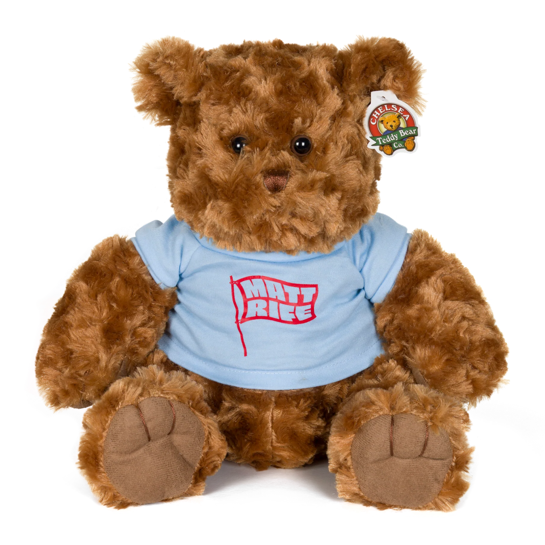 Teddy Bear - Blue Shirt